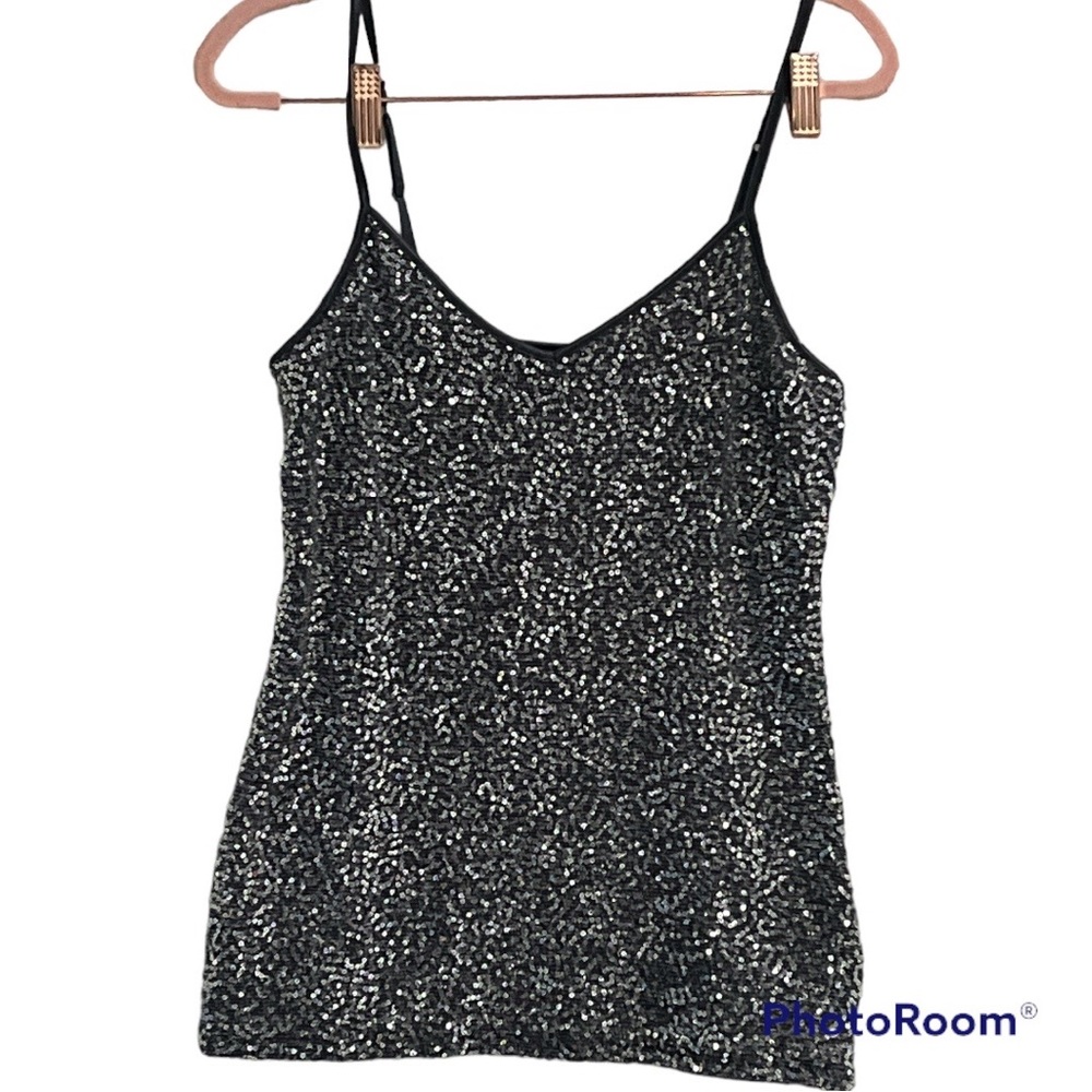 Express Silver Sequins Cami Top